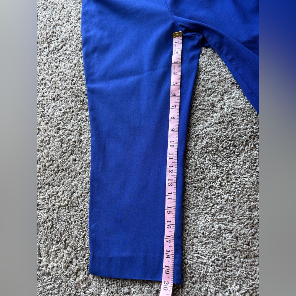 Counterparts Capris
Size 10! - Picture 9 of 10